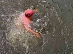Mainschwimmen Juni 2026